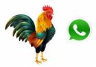 Aún no estás en el grupo de whatsapp "El canto del gallo"?