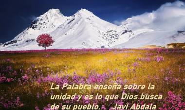 08 “LOBBY” ALIANZAS LETALES